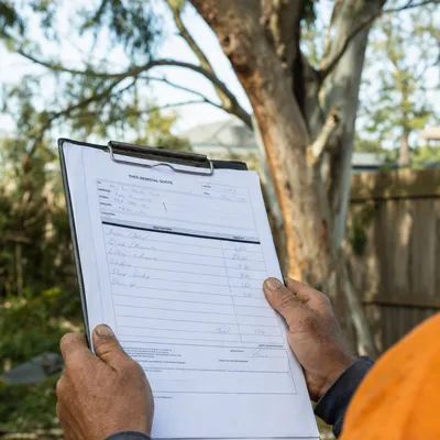 Reading a written tree removal quote on site in Wollongong