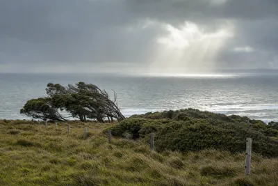 Coastal weather, Wollongong