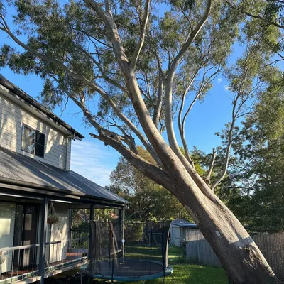 Before: Big lean over a Federation roofline, Wollongong