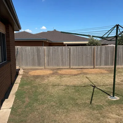 After: Old pine row along a back boundary, Wollongong