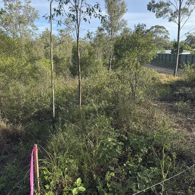 Before: Foothill block cleared for a granny flat, Wollongong