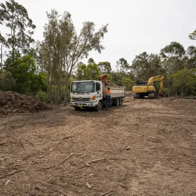 Land Clearing job in Wollongong by qualified local arborists