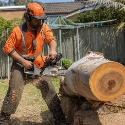 Tree Removal in Wollongong, qualified arborists