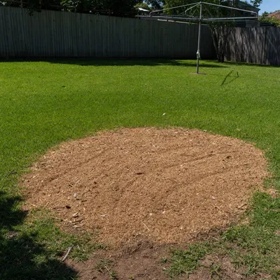 Mulch from the green waste, Wollongong